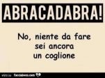 COGLIONE