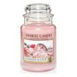 YANKEE CANDLE...NE VOGLIO 3!