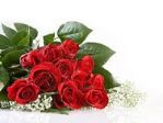 MAZZO DI ROSE ROSSE!